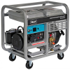 Генератор дизельный WERT DG 11500E  8.0/9.0кВт, 220В, 4-х тактн. 13лс